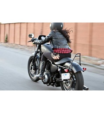 SISSY BAR KURZ BURLY OHNE KISSEN PAD HARLEY DAVIDSON XL SPORTSTER '04-'14