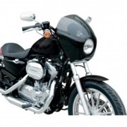 Arlen Ness Fairing