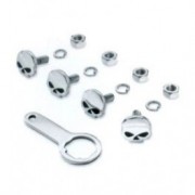 License plate bolts