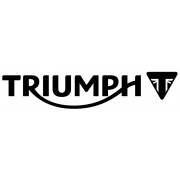 Brake pads for Triumph