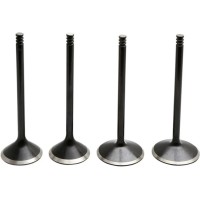 Engine valves and accessories
