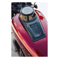 Dashboard Panels