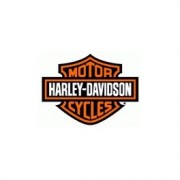 Selles Profiler Harley Davidson