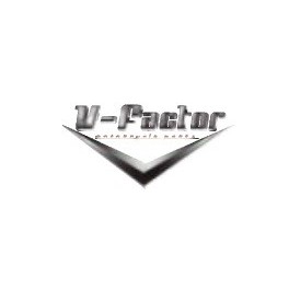 V-Factor