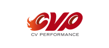 CV Performance